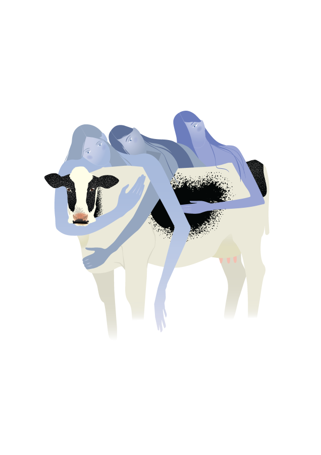 Cow