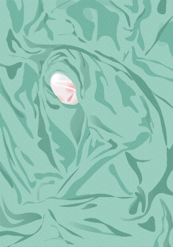 Comfort Zone